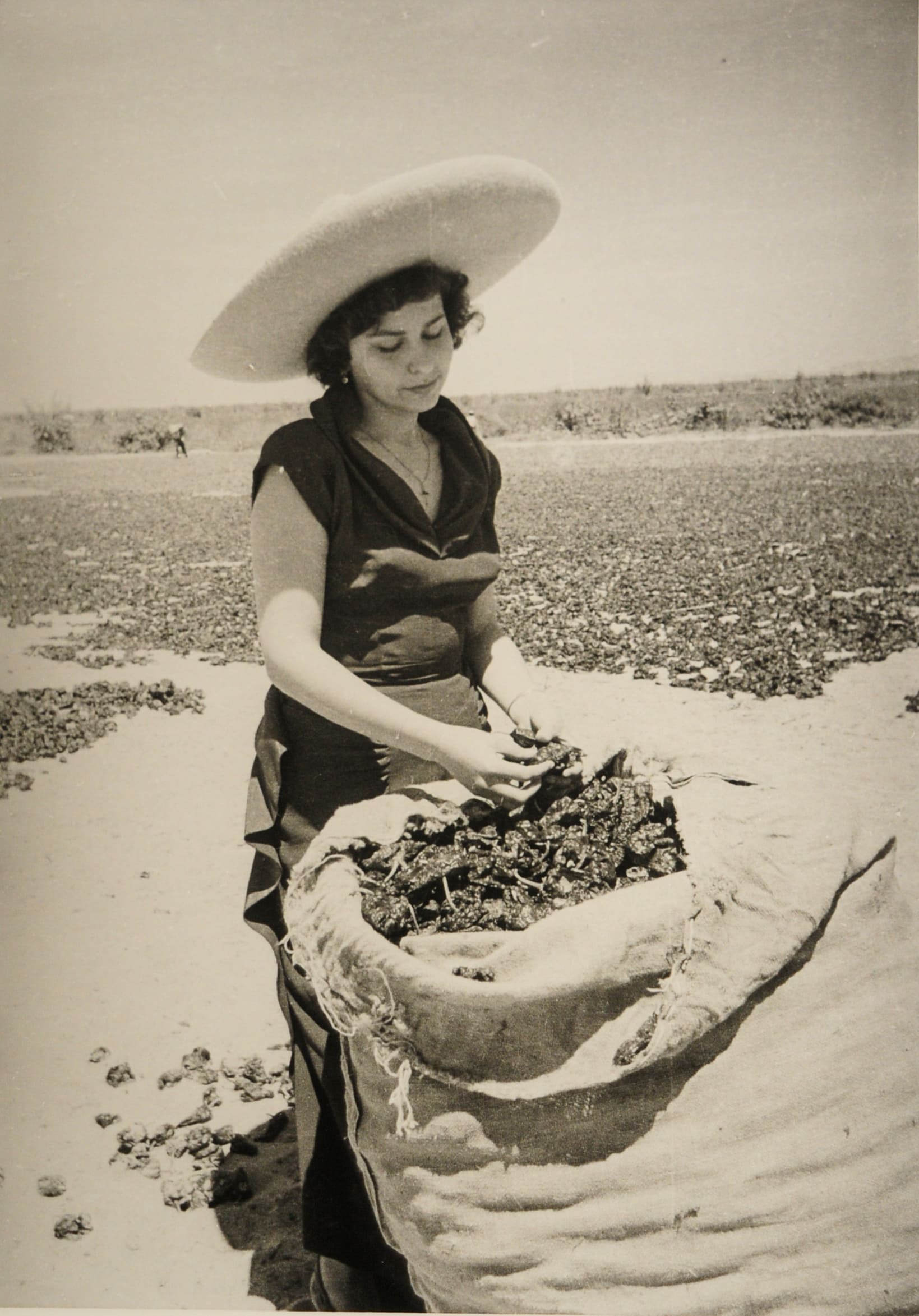 Campesina con costal de chiles secos en campo abierto, década de 1950